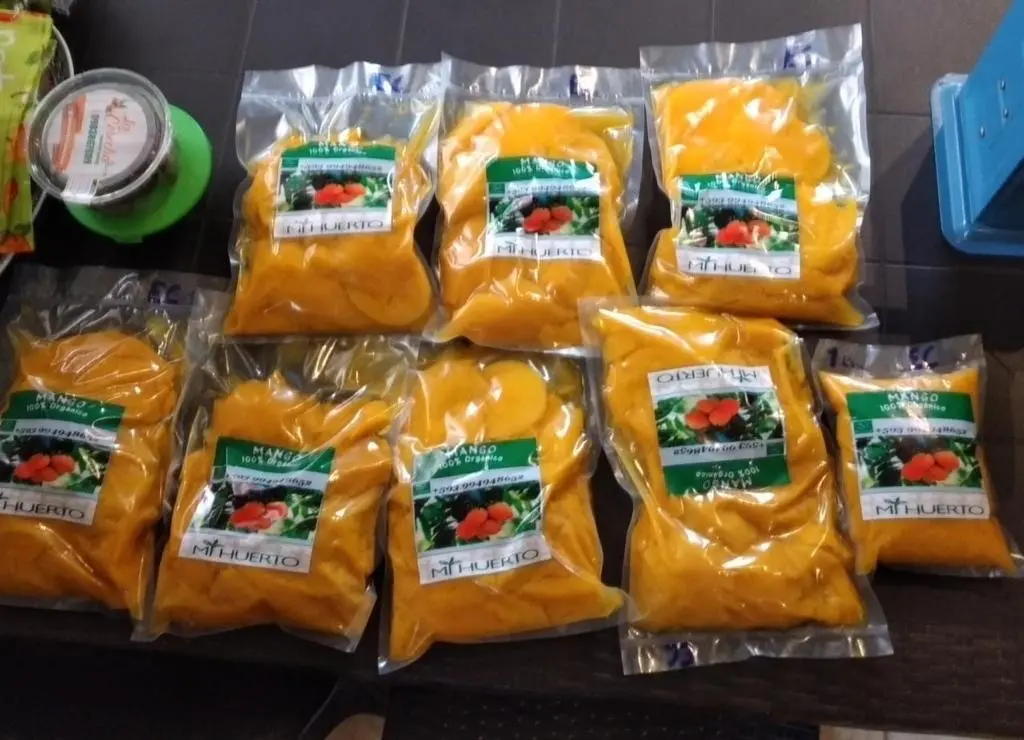pulpa de mango.webp